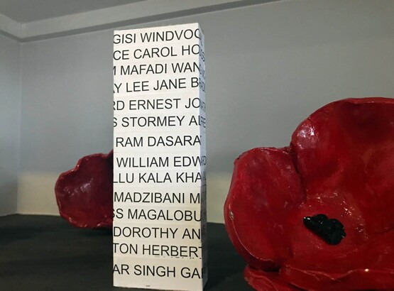 Remembrance Day Poppies